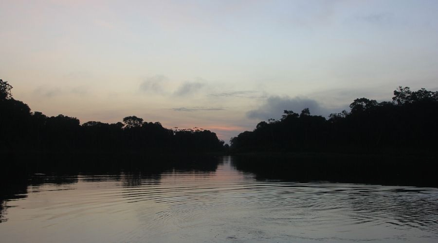 amazonas