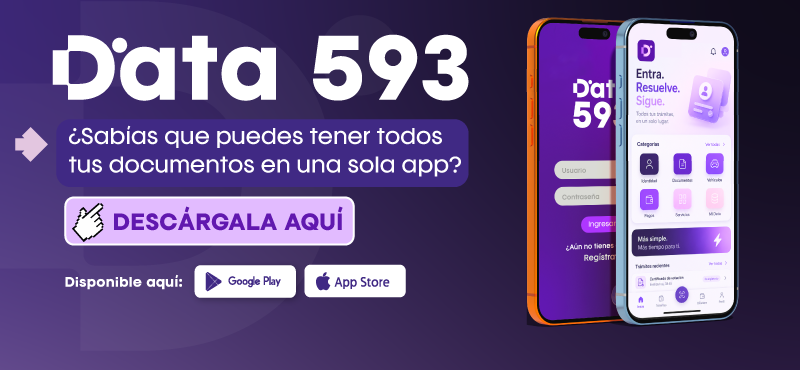 Data 593